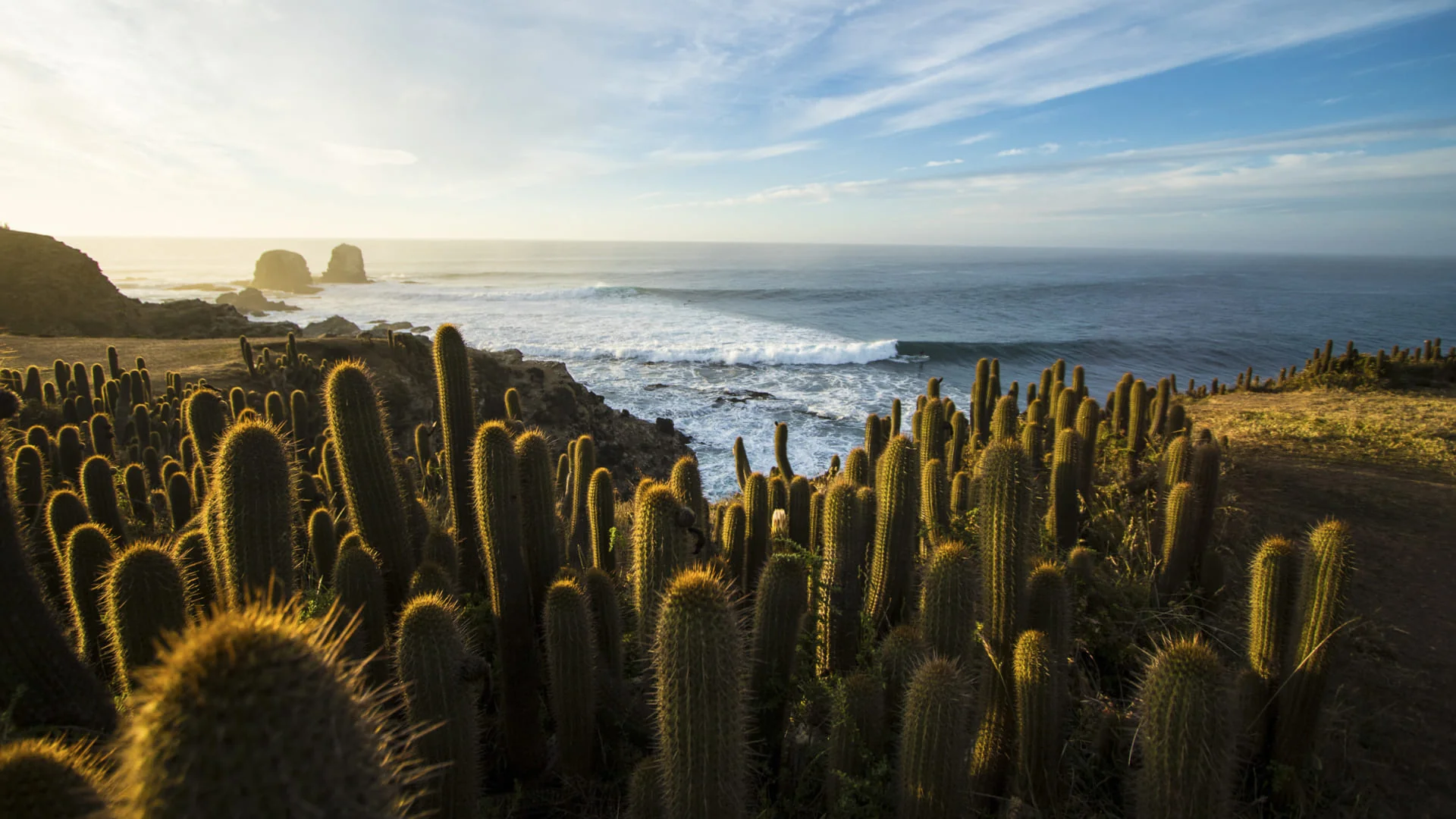Fotografía de Punta de Lobos, corazón de la Fundación Punta de Lobos.
